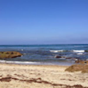 Meet your Posher, Nina